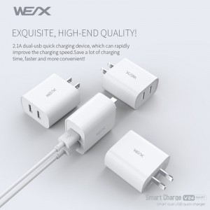 WEX - V24 Dual USB Reiseladegerät, Ladegerät, Netzteil