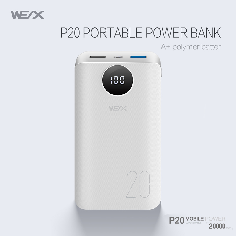 WEX - P20 Energiebank