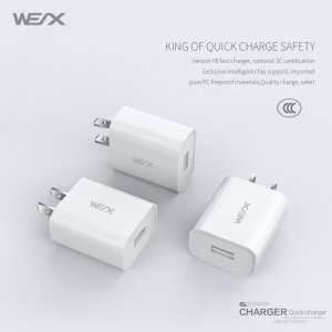 WEX -V8 Ladegerät mit einem einzigen Port im Kombibereich